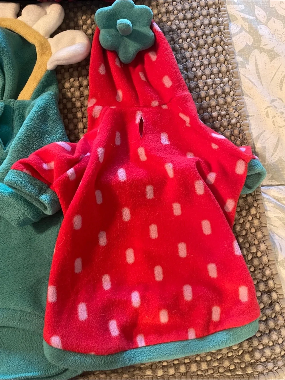 Dog sweaters (size small) Entire lot of 6